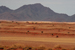 namibia 119